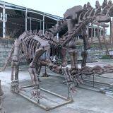 Man-made Dinosaur Fossil Skeleton Model thumbnail-1