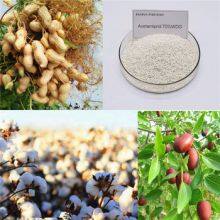 High Quality Agricultural Pesticides for Tomatos Acetamiprid 70wdg Pest Control Product thumbnail-2