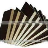 Film Faced Plywood ,commercial Plywood,plywood thumbnail-5