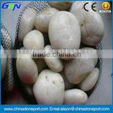 Natural White Oval River Pebble Stone thumbnail-1