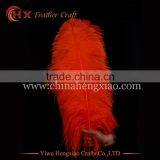 Wholesale Cheap 55-60inch Ostrich Feather Fringe for Wedding Decoration thumbnail-5