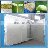 Factory Supply Automatic Bean Sprout Growing Machine for Sale thumbnail-1