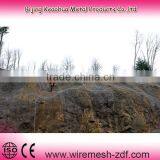 Top Quality Protect Slope Netting