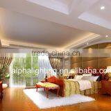 13W IP54 High Quality Aluminumlux Led Down Light, Led Lux Light, Cob Led Lux Down Light thumbnail-5