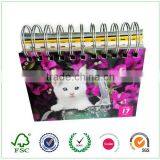 2017 Design Desk Calendar Printing Page per Day