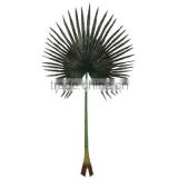 Large Artificial Palm leaves for outdoor