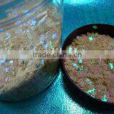 Sequins for Shoes thumbnail-1