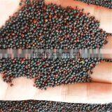 Crude Rapeseed Oil for Good Quality and Best Price DIN51605 thumbnail-5