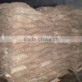 2010 New Crop Fresh Chinese Chestnut thumbnail-1