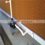 Steel Structure Shed Design Chicken Poultry Shed thumbnail-2