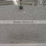 Natural Bala Flower Big Slab