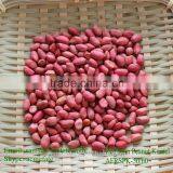 Wholesale Big Size Blanched Red Skin Peanut Kernels