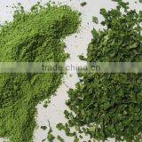 2013 New Crop Spinach Powder