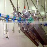 Shackle Washer