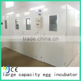 Dezhou cheap large capacity 15000 duck egg incubator for sale