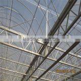 Multi-Span Agricultural Greenhouses Type and PC Shee Cover Material Agricultural Greenhouses thumbnail-2