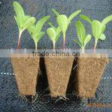 New Arrival Best Selling Rice Seeding Tray Black Plastic Tray thumbnail-1