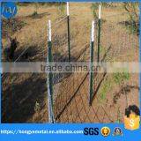 Cheap Galvanized Used Steel Fence T Post For Sale(Factory) thumbnail-2