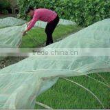 UV - Protection Agriculture Ground Cover Polypropylene Non Woven Fabric, Curtain Fabrics thumbnail-1