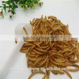 Dried Yellow Mealworm,Birds Food & Aquarium Fish Food thumbnail-1