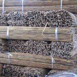 White Fern Fence With Galvanized Wire thumbnail-4