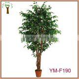 Classical Artificial Ficus Tree Hot Sale thumbnail-1