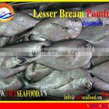 W/R FROZEN LESSER BREAM POMFRET thumbnail-1