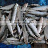 China Manufacturer Frozen Sardine Fish thumbnail-1