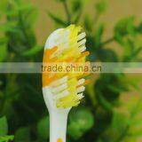 Portable Teeth Brush With Different Case Types and High Quality thumbnail-4
