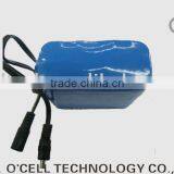 LiFePO4 3.2V9Ah Battery Pack for Lamp