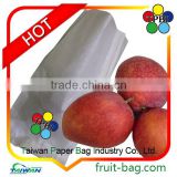 Taiwan fresh mango paper protection bag mango disposable bag