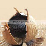 Zhengzhou Product Peeled Solo Black Garlic Packed With Organic Certificate thumbnail-1