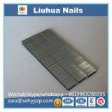 Gold Colored Staples for Furniture Hardware Fitting thumbnail-2