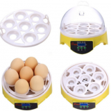 New Design Small 7 Eggs Incubator CE Approved Automatic Professional Chicken Egg Hatcheries thumbnail-2