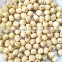 Organic Vietnam White Lotus Seeds From Vietnam thumbnail-2