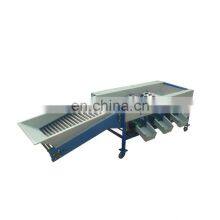 Industrial Apple Washing Sorting Machine /fruit Apple Sorter / Tomato Grading Machine thumbnail-5