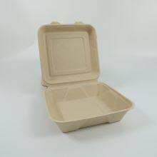 Disposable Lunch Box Salad Box Burger Box