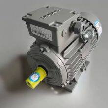 Siemens motor 0.55-315KW2/4/6/8 pole 1LE0001 vertical and horizontal three-phase asynchronous motor
