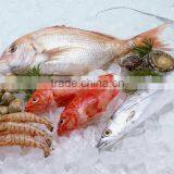 Daikin Reefer Container Price 40ft Reefer Container for Sale