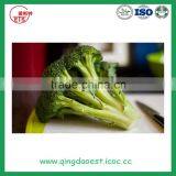 Bulk Packing Fresh Broccoli thumbnail-4
