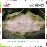 Organic Green Vegetables Fresh Cauliflower From China thumbnail-3