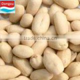 chinese blanched peanuts