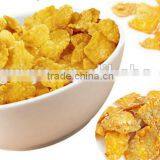 2015 Hot Sales High Quality Breakfast Cereal Corn Flakes Production Line thumbnail-6