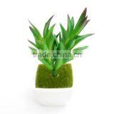 3 Inches Squared Mini Pot Plant thumbnail-3