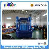 Hot Commercial Grade Cheap Dolphin Water Slide ,28ft Castle Slide thumbnail-6