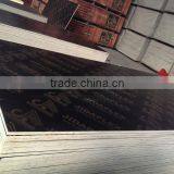 Film Faced Plywood thumbnail-1