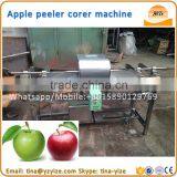 Electric Apple Peeler Corer Slicer / Industrial Electric Apple Peeler thumbnail-5