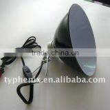 Reptile Clamp On Lamp