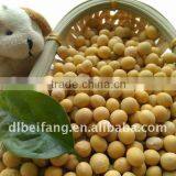 Organic Soybeans( New Crop, Heilongjiang Origin) thumbnail-1