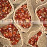 2015 New Organic Raw Chestnuts for Sale thumbnail-4